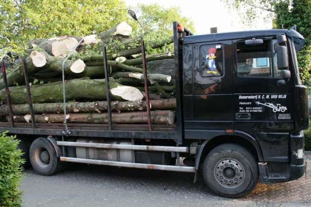 afvoeren van dikke stammen met de vrachtwagen verwijderen van bomen in brabant